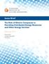 Issue Brief. The Role of Electric Companies in Providing Distributed Energy Resources and Other Energy Services. February 2018