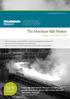 NEW. The Merchant Slab Market. Strategic Outlook to for 2010