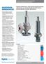 ANDERSON GREENWOOD. Flow Control. Anderson Greenwood Series 60 and 80 Direct Spring Operated Pressure Relief Valves