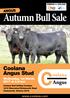 Autumn Bull Sale. Coolana Angus Stud ANGUS. Wednesday, 1st March, 2017 at 4.01pm.