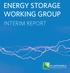 ENERGY STORAGE WORKING GROUP INTERIM REPORT