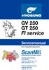 GV 250 GT 250 FI service