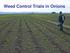 Weed Control Trials in Onions
