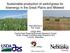 Sustainable production of switchgrass for bioenergy in the Great Plains and Midwest