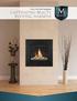 Direct Vent Gas Fireplaces CAPTIVATING BEAUTY. INVITING WARMTH.