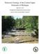 Paleozoic Geology of the Central Upper Peninsula of Michigan