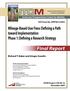 Final Report. Mileage-Based User Fees: Defining a Path toward Implementation Phase 1: Defining a Research Strategy. Richard T. Baker and Ginger Goodin