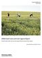 2008 Small Grain and Grain Legume Report