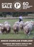 WELCOME. We hope you enjoy this year s offering of bulls for our 12th Annual Autumn on property Bull Sale.