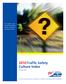 2010 Traffic Safety Culture Index