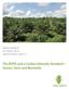 WORLD GROWTH OCTOBER 2010 GREEN PAPERS: ISSUE VI. The RSPO and a Carbon Intensity Standard Issues, Facts and Necessity