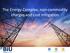The Energy Complex, non-commodity charges and cost mitigation