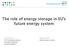 The role of energy storage in EU's future energy system