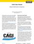 CAGI Data Sheets. Blower Performance Comparison. Stephen Horne, Blowers Product Manager Kaeser Compressors, Inc.