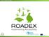 ROADEX Network Implementing Accessibility