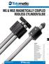 MG & MGS Magnetically Coupled