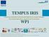 TEMPUS IRIS. Fostering Academic International Relations in Israeli Colleges To promote education, research and innovation. WP1