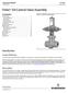 Fisher D4 Control Valve Assembly