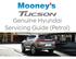 Genuine Hyundai Servicing Guide (Petrol)
