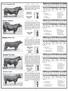 Jointly owned with Sinclair Cattle Company. GeneSTAR Results M1 M2 T1 T2 T3. Semen available through Green Garden. 1/25/ B98