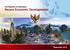 The Republic of Indonesia Recent Economic Developments