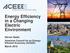 Energy Efficiency in a Changing Electric Environment. Steven Nadel American Council for an Energy- Efficient Economy (ACEEE) March 2016