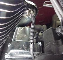 Route the AutoTune harness plug under the brake lines to the ECM caddy area.