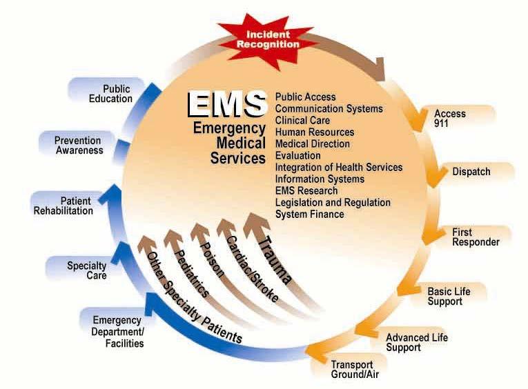 The Office of Emergency Medical Services Mission Statement To reduce death and disability by providing leadership and coordination to the