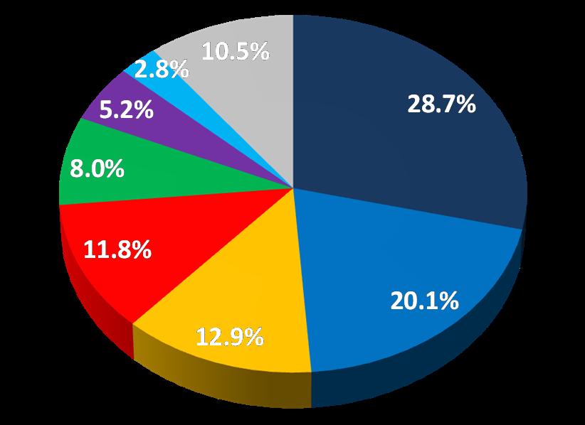 Current VIO Percent Share Vehicles In Operation: Share by Manufacturer Hyundai Nissan Other GM Honda Toyota Domestic brands represent more than 60 percent of all vehicles