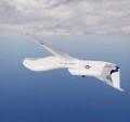 Class of UAVs under study in France 100 Long endurance HALE 60