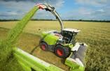 CLAAS offers an easy solution for removing the accelerator when post-harvest cleaning is required or if it should prove necessary to