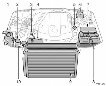 Engine compartment overview TS71001 1. Windshield and back window washer fluid tank 2. Power steering fluid reservoir 3.