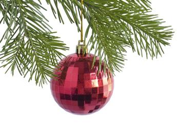January 2016 Christmas tree collection, January 4th, 5th, 11th and 12th, 2016 Remove all plastic bags, tinsel, lights, decorations and tree stands. Maximum length 1.2 m (4 feet).