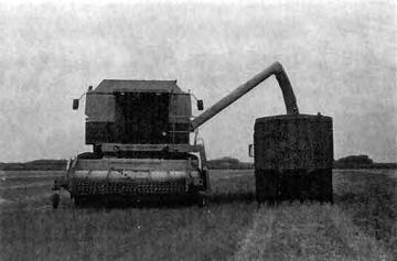 Chaff and debris were cleaned from the grain using a combination of air and sieving action. The New Holland TR96 was equipped with an optional Peterson chaffer (FIGURE 3).