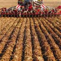 The Focus TD, a combination of the Focus and the Pronto sowing technology, is the consistent further development of this Striptill cultivation system.
