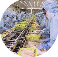 2013 Waste fat from fish processing industry