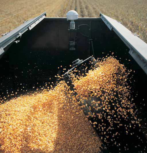 They demand a grain transport system that matches their huge capacity.