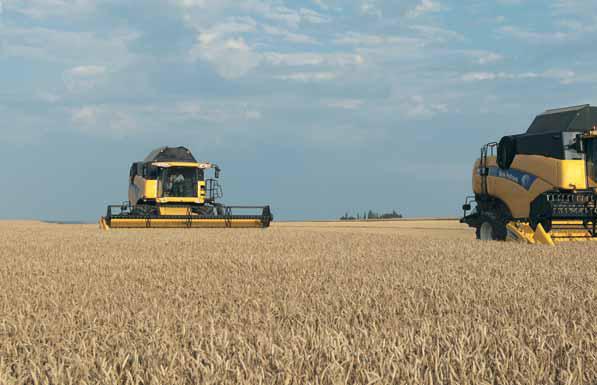 CX - FUTURE ORIENTED WORLD LEADER. Continuous success New Holland CX combine harvesters are a land-mark in the history of harvesting systems.
