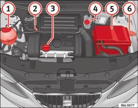 256 Technical specifications Technical specifications Checking fluid levels From time to time, the levels of the different fluids in the vehicle must be checked.