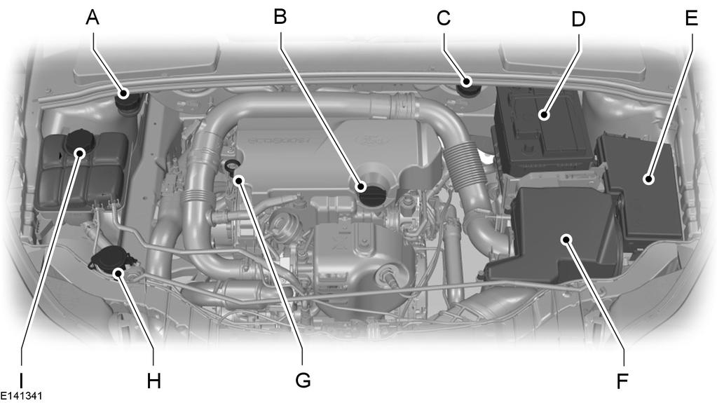 Maintenance UNDER HOOD OVERVIEW - 1.0L ECOBOOST A B C D E F G H I Brake and clutch fluid reservoir (right-hand drive). See Brake and Clutch Fluid Check (page 196). Engine oil filler cap *.
