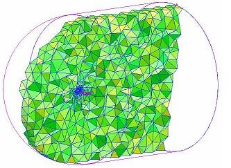 The numerical simulation by the solver was made after the completion of the mesh generation.