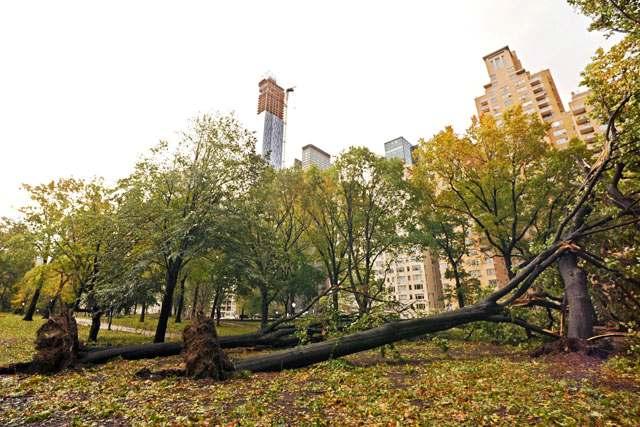 Sandy s Impact City schools closed for most students until Nov. 2 New York Stock Exchange trading suspended Oct.