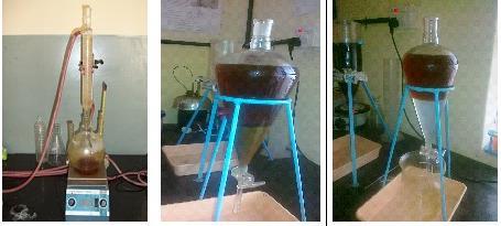 (a) 3-Neck conical glass bottle for transesterification (b) Separation of Glycerin (c) Washing with hot water Fig.