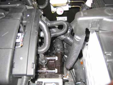Disconnect hose from engine outlet
