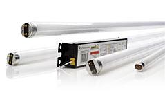 T5 versus T8 Fluorescent Lamps The good, the bad, & the ugly about T8 and T5 lamps Association of Energy