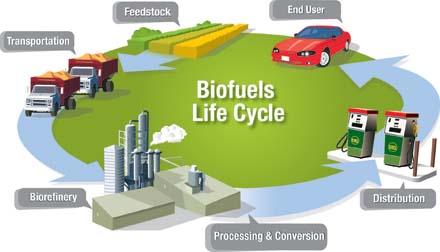 Life cycle of tradiional biofuels Important considerafon: life cycle greenhouse gas emissions SC Opinion on Greenhouse Gas AccounFng in RelaFon to Bioenergy: hvp://www.eea.