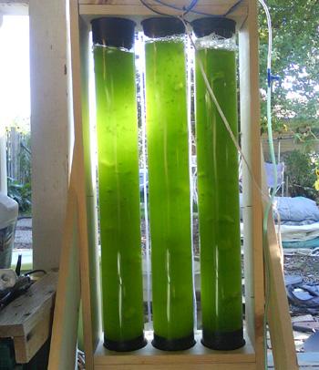 Bioreactors/ponds used to grow algae Bioreactors