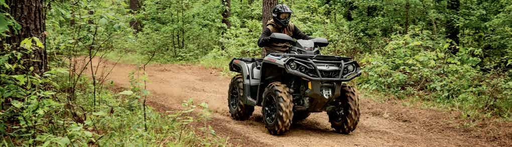 And because it s part of our exclusive LinQ system lineup, you can quickly and easily add or remove many ride-specific Can-Am accessories from trunk boxes to gun