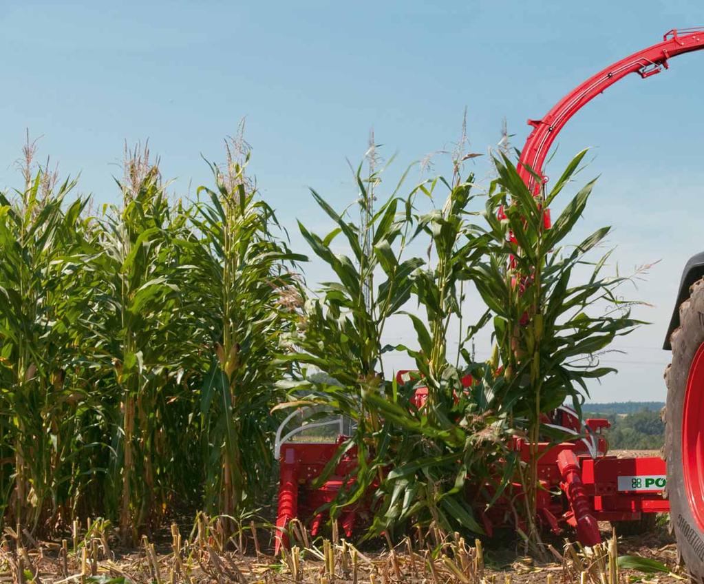 Back and forth through maize The maize header enables you to harvest independently of rows or row spacing.