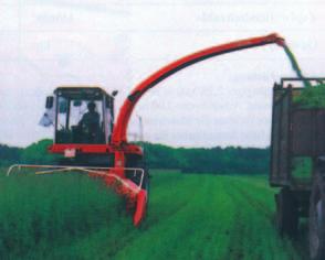 The rotating gathering drums feed the crop lengthways into the chopper.